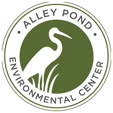 A green circle logo with a white heron silhouette and the text "Alley Pond Environmental Center".