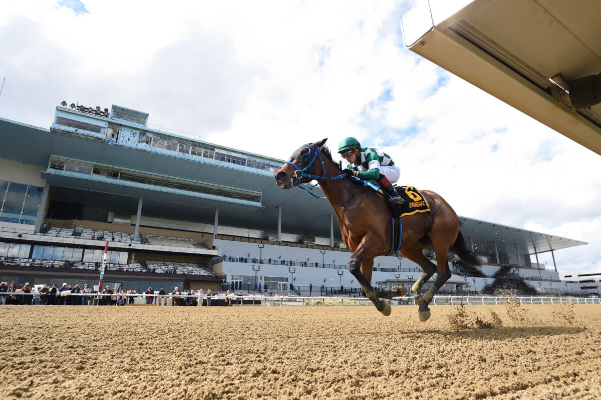 Aqueduct Racetrack in Queens to Host Belmont Park’s Fall Racing Meet